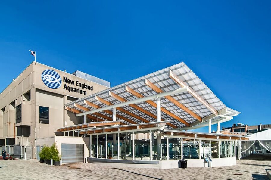Boston: New England Aquarium Entry + Optional Simons Theatre - The Giant Ocean Tank From Four Levels