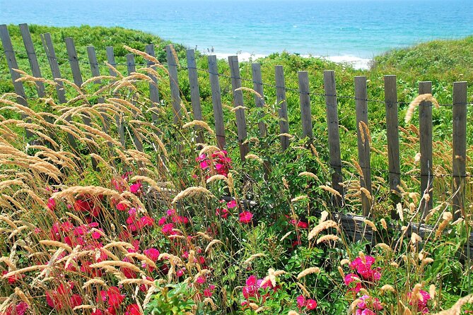 Boston to Martha's Vineyard Day Trip with Optional Island Tour - Free time versus the guided route
