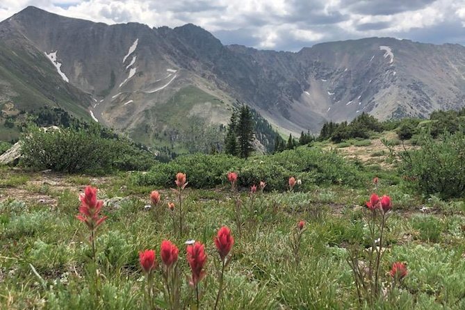 Breckenridge Ultimate Full Day Mountain Tour from Denver - Historic Georgetown in 30 minutes