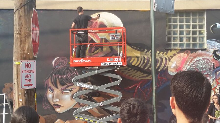 Brooklyn: Bushwick Street Art Walking Tour - From Paint Technique to Politics