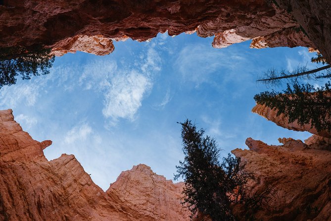 Bryce Canyon & Zion National Park from Las Vegas with Lunch, WiFi - Zion Canyon Visitor Center: a short introduction to a huge park