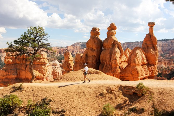 Bryce Canyon & Zion National Park from Las Vegas with Lunch, WiFi - Zion-Mount Carmel Highway and the famous tunnel