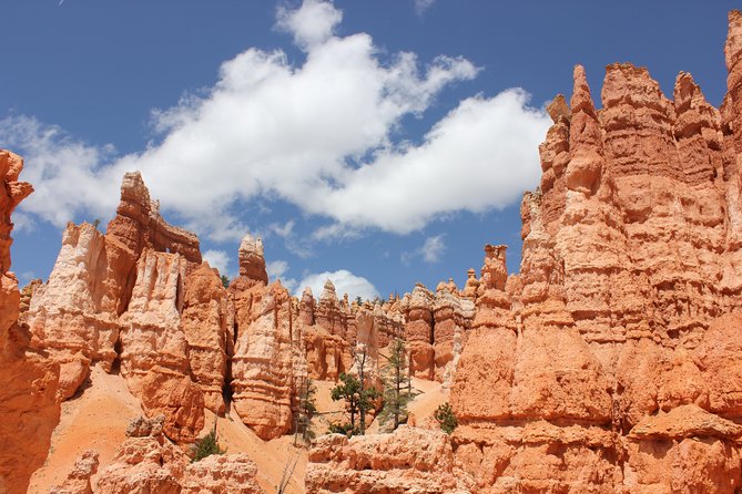 Bryce Canyon & Zion National Park from Las Vegas with Lunch, WiFi - Checkerboard Mesa: ten minutes with a strange pattern