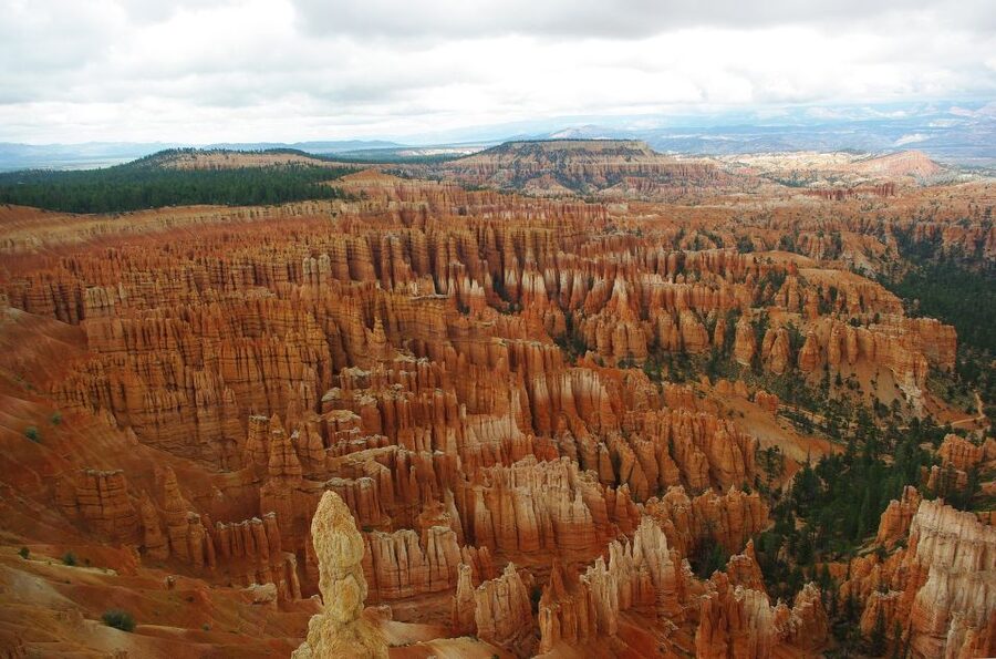 Bryce: Guided Sightseeing Tour of Bryce Canyon National Park - Wall Street, Silent City, and Thor’s Hammer