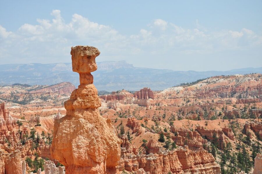 Bryce: Guided Sightseeing Tour of Bryce Canyon National Park - Price, timing, and the value of local insight