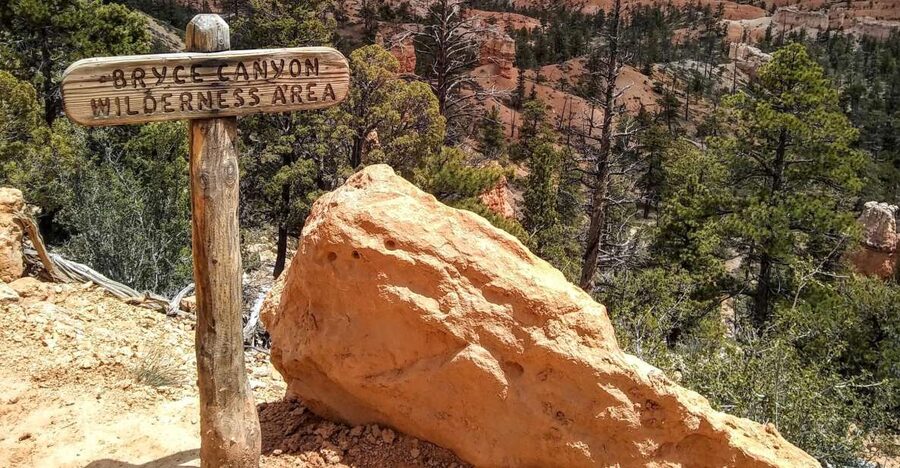 Bryce: Guided Sightseeing Tour of Bryce Canyon National Park - Fairyland Canyon and the search for an ancient tree