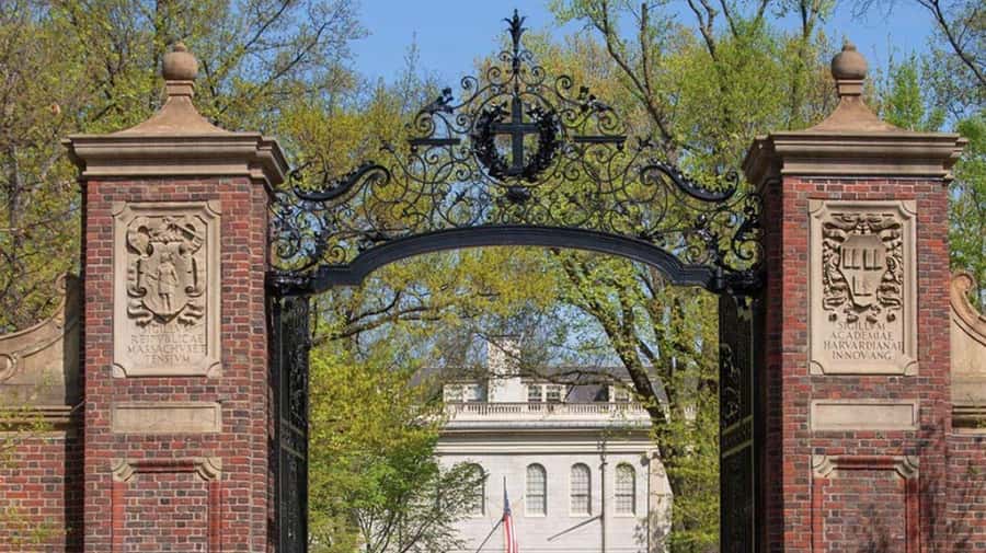 Cambridge, Massachusetts: MIT and Harvard Walking Tour - Why MIT is the stronger opening act