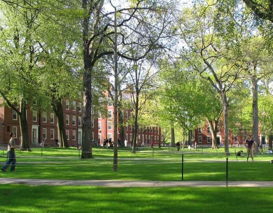 Cambridge, Massachusetts: MIT and Harvard Walking Tour - Harvard Yard, Memorial Hall, and Memorial Church