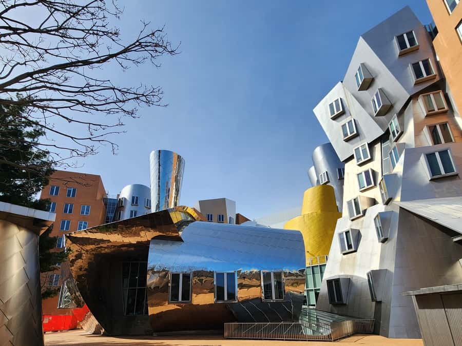 Cambridge, Massachusetts: MIT and Harvard Walking Tour - Washington, campus houses, and student life