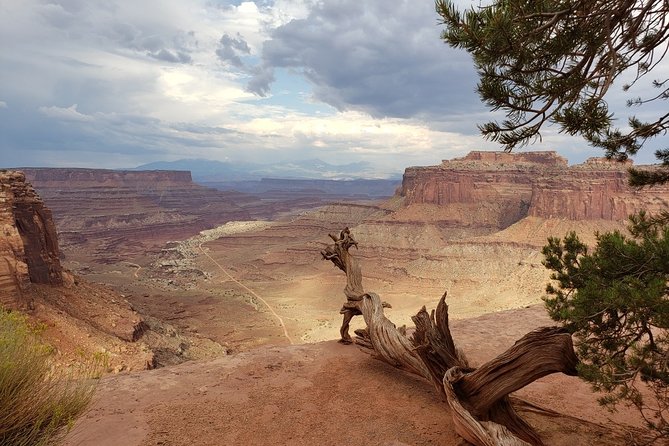 Canyonlands National Park Backcountry 4x4 Adventure from Moab - White Rim Road and the view from below