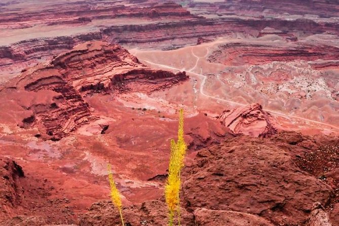 Canyonlands National Park Backcountry 4x4 Adventure from Moab - Meeting in Moab and heading toward the mesa