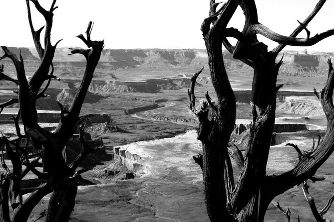 Canyonlands National Park Half-Day Tour from Moab - White Rim Road and Musselman Arch