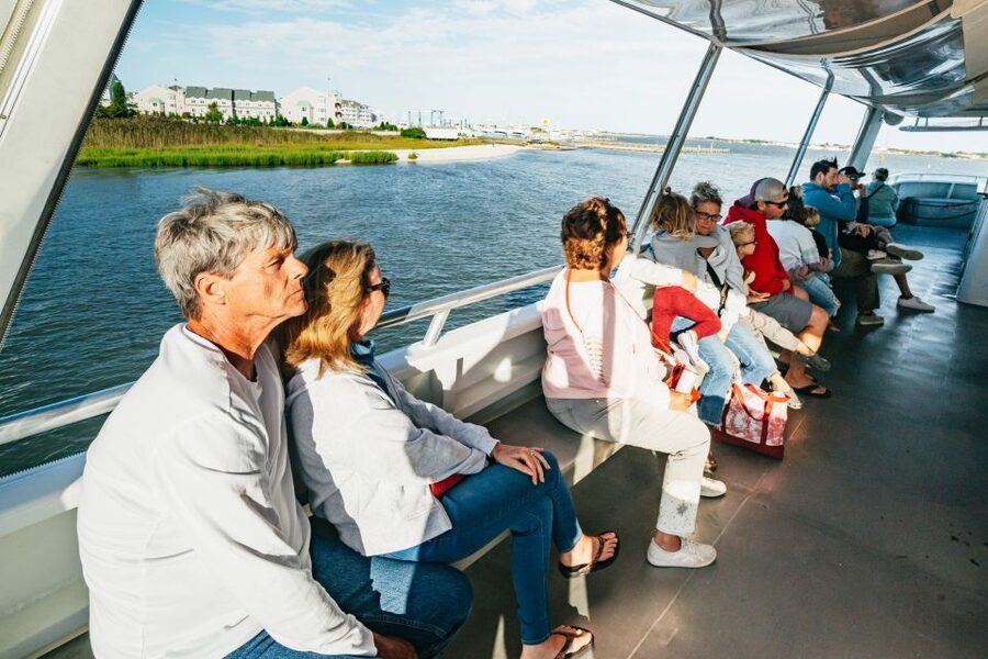 Cape May: Cape May Island Sunset Cruise & Dolphin Watching - Is the $40 price good value?