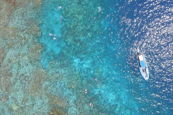 Captain Cook Snorkel Tour with Sea Caves and Lava Tubes - Fish, turtles, dolphins, and the limits of nature