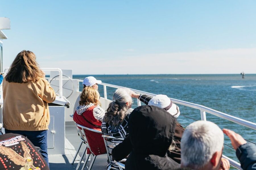 Charleston: Daytime or Sunset Historic Harbor Cruise - The Ravenel Bridge and the return across the harbor