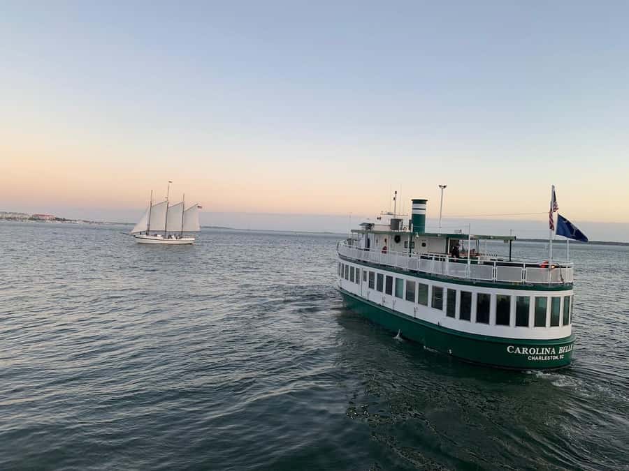 Charleston: Daytime or Sunset Historic Harbor Cruise - Dolphins, pelicans, and the value of looking up