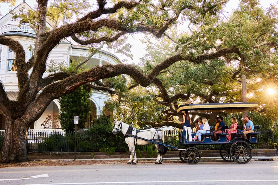 Charleston: Downtown Horse-Drawn Carriage Tour - What the guide adds to the ride