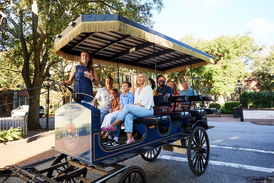 Charleston: Downtown Horse-Drawn Carriage Tour - Is $50 a fair price?