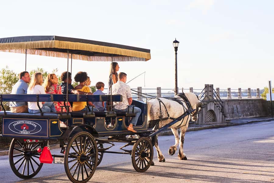 Charleston: Downtown Horse-Drawn Carriage Tour - Who will get the most from this carriage tour?