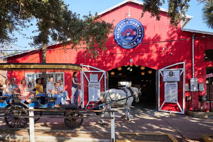Charleston: Downtown Horse-Drawn Carriage Tour - Practical details that improve the experience
