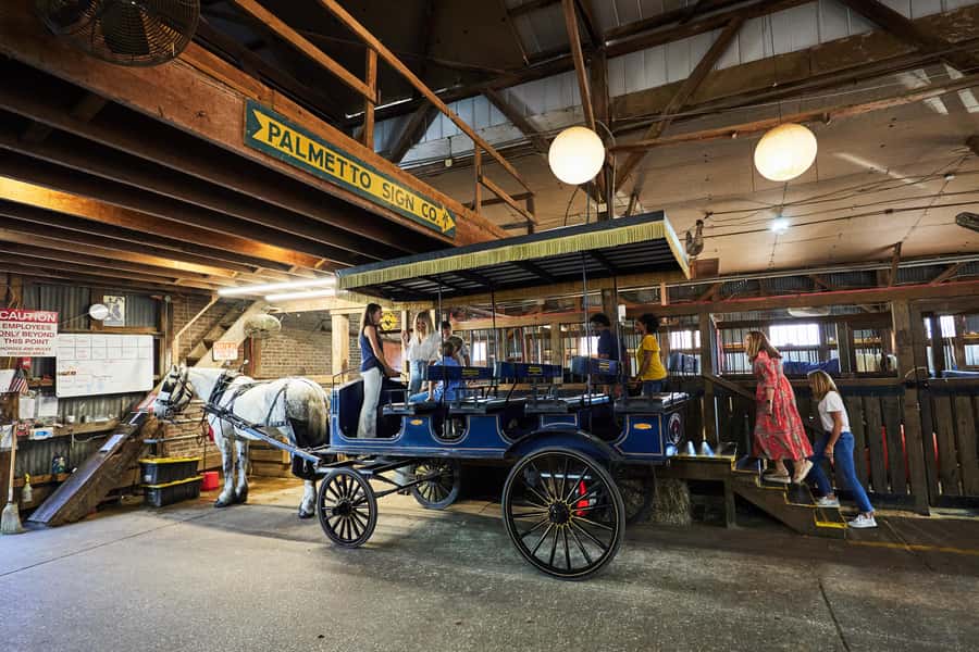 Charleston: Downtown Horse-Drawn Carriage Tour - A slow look at Charleston’s residential core