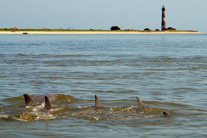 Charleston Eco Boat Cruise with stop at Morris Island Lighthouse - Morris Island Lighthouse and the Beach Stop