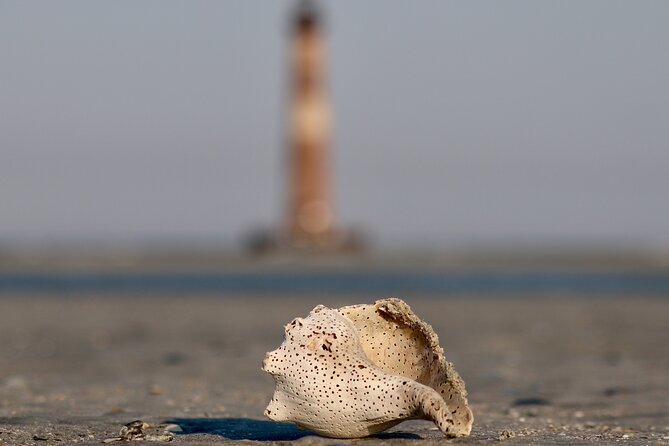 Charleston Eco Boat Cruise with stop at Morris Island Lighthouse - Weather, Comfort, and Practical Limits