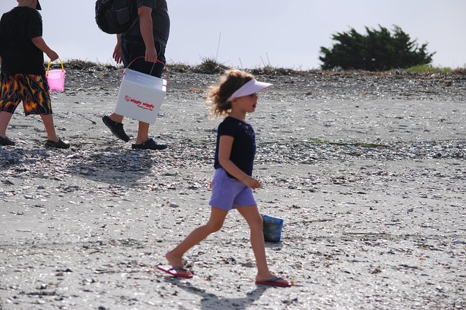 Charleston Eco Boat Cruise with stop at Morris Island Lighthouse - Is the Two-and-a-Half-Hour Format Good Value?