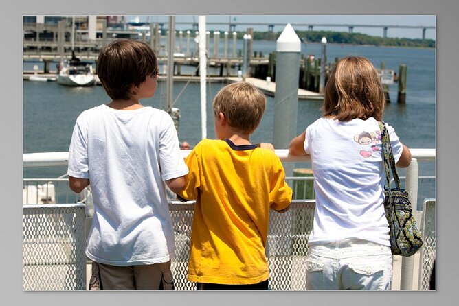 Charleston Harbor History Day-Time or Sunset Boat Cruise - Dolphins, pelicans, and open-water views