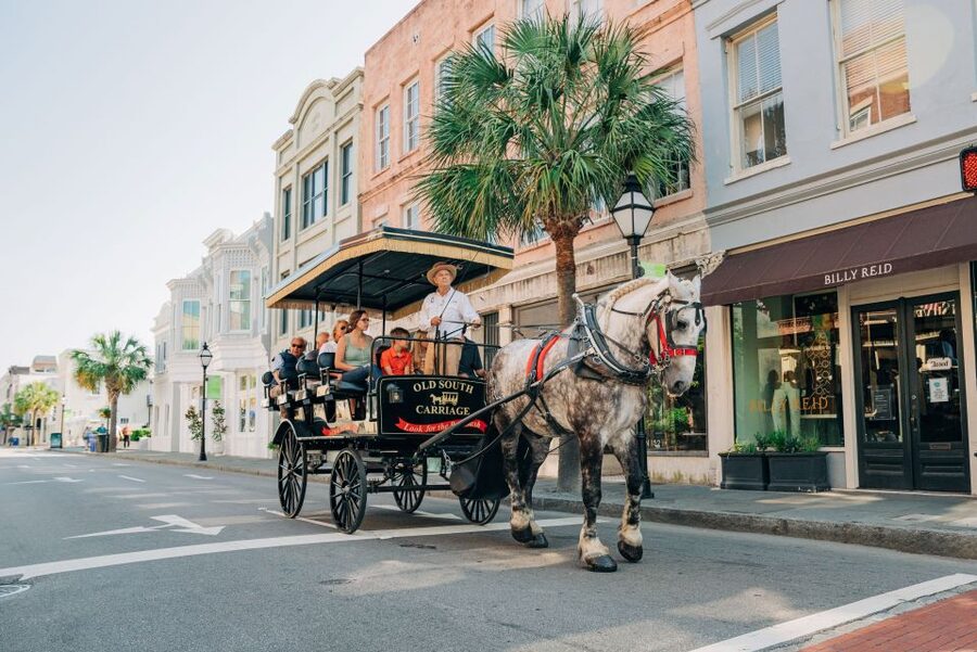 Charleston: Historical Downtown Tour by Horse-drawn Carriage - Why the horse changes the feel of downtown