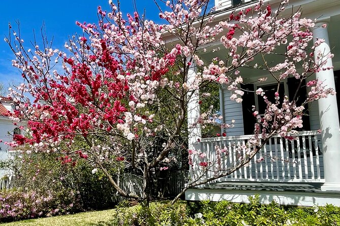 Charleston History Tour / - St. Michael’s Church and the city’s religious foundations