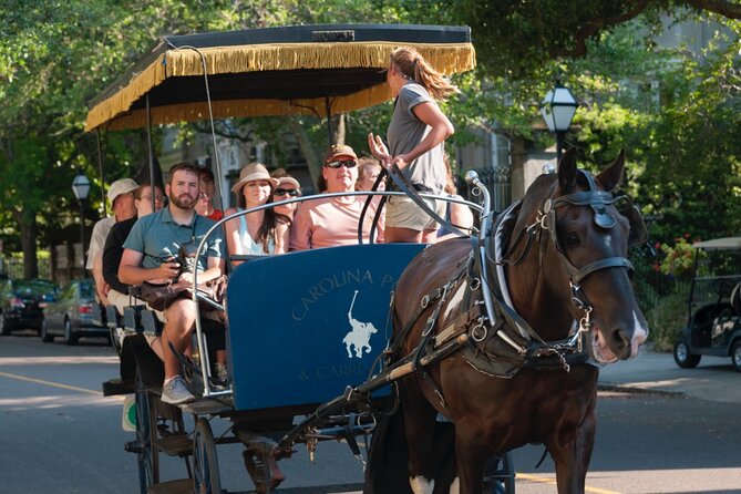 Charleston Horse & Carriage Historic Sightseeing Tour - Nathaniel Russell House and the city’s grand architecture