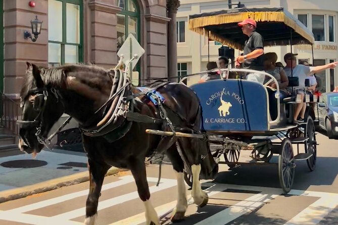 Charleston Horse & Carriage Historic Sightseeing Tour - Is $45 a fair price for one hour?