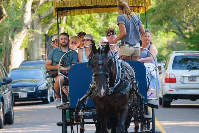Charleston Horse & Carriage Historic Sightseeing Tour - Starting at the Historic City Market