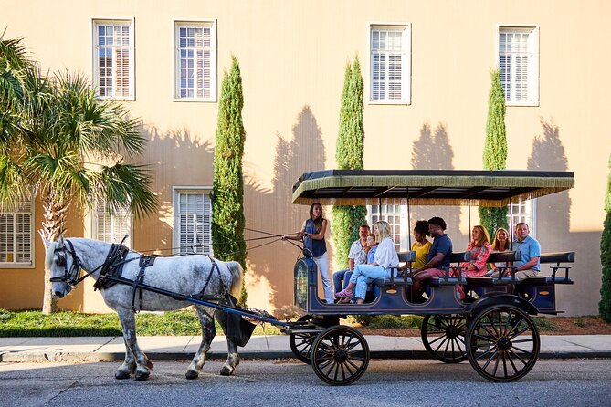 Charleston Horse-Drawn Carriage Tour: Explore Historic Charleston - Stories from pirates to Reconstruction