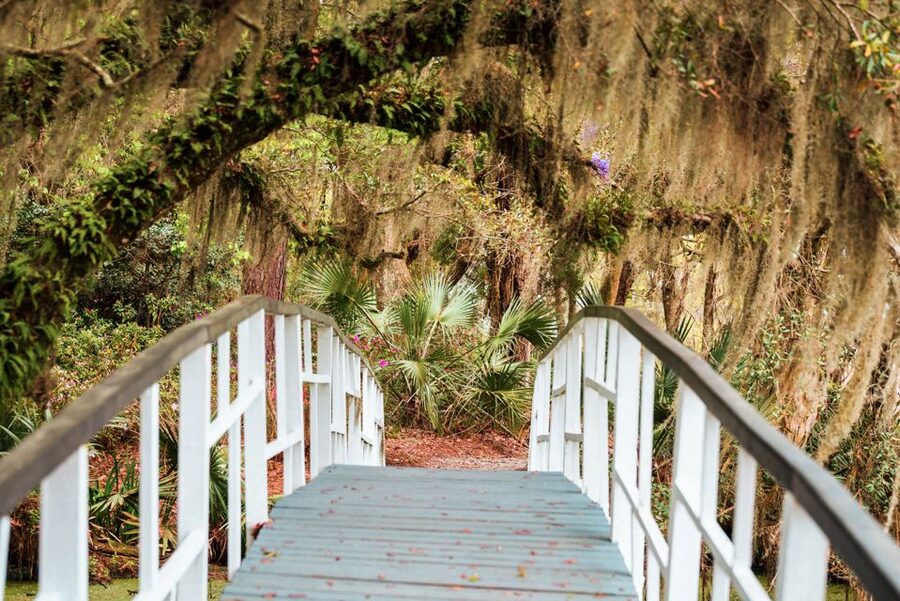 Charleston: Magnolia Plantation Entry & Tour with Transport - Why Magnolia Plantation belongs on a Charleston itinerary