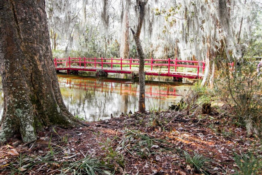 Charleston: Magnolia Plantation Entry & Tour with Transport - The 45-minute tour of the Drayton Home