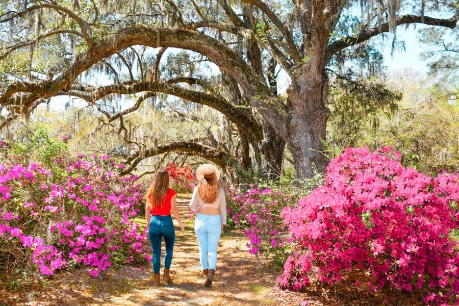 Charleston: Magnolia Plantation Entry & Tour with Transport - Making time for the African American history