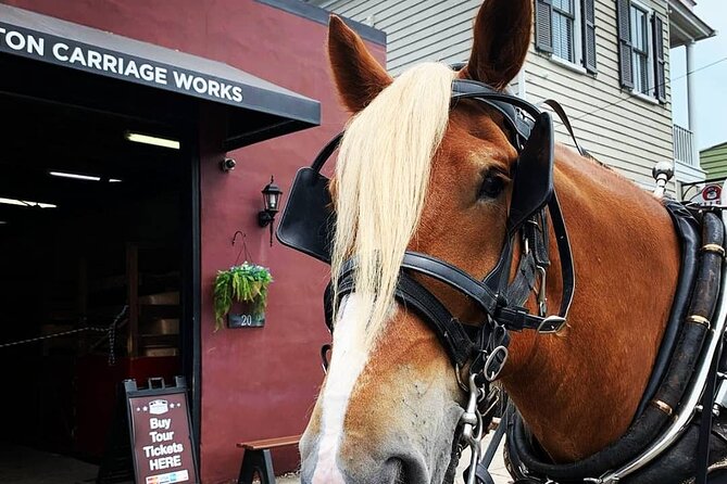 Charleston's Historic Residential Horse and Carriage Tour - Booking tips for a smoother ride