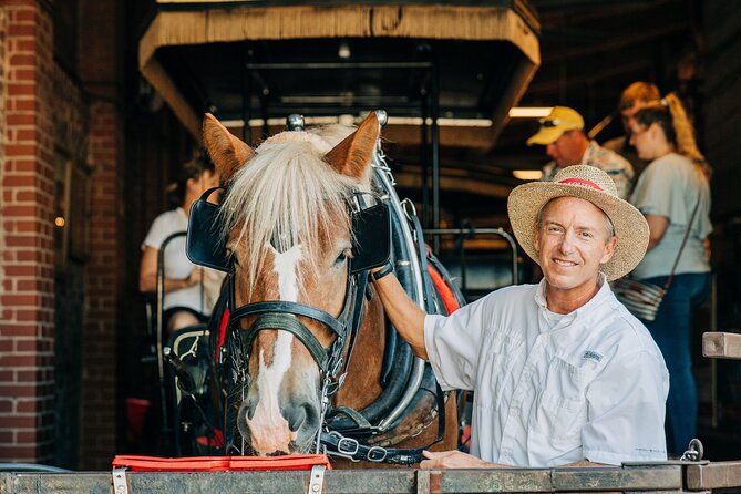 Charleston’s Old South Carriage Historic Horse & Carriage Tour - Starting at 14 Anson Street