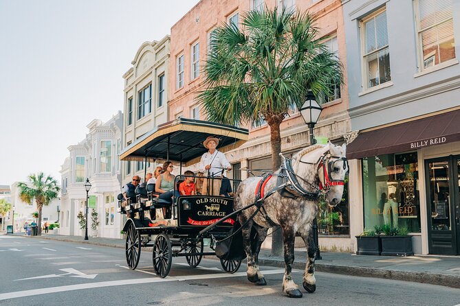 Charleston’s Old South Carriage Historic Horse & Carriage Tour - Weather, seating, and family details