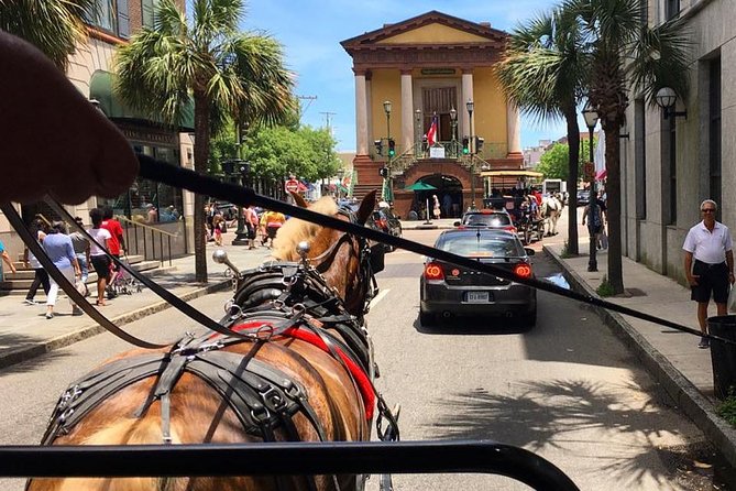 Charleston’s Old South Carriage Historic Horse & Carriage Tour - When to take the ride