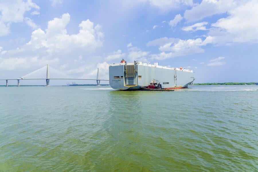 Charleston: Sightseeing Harbor Tour & Dolphin Watch - Dolphins: enjoy the possibility, not the promise