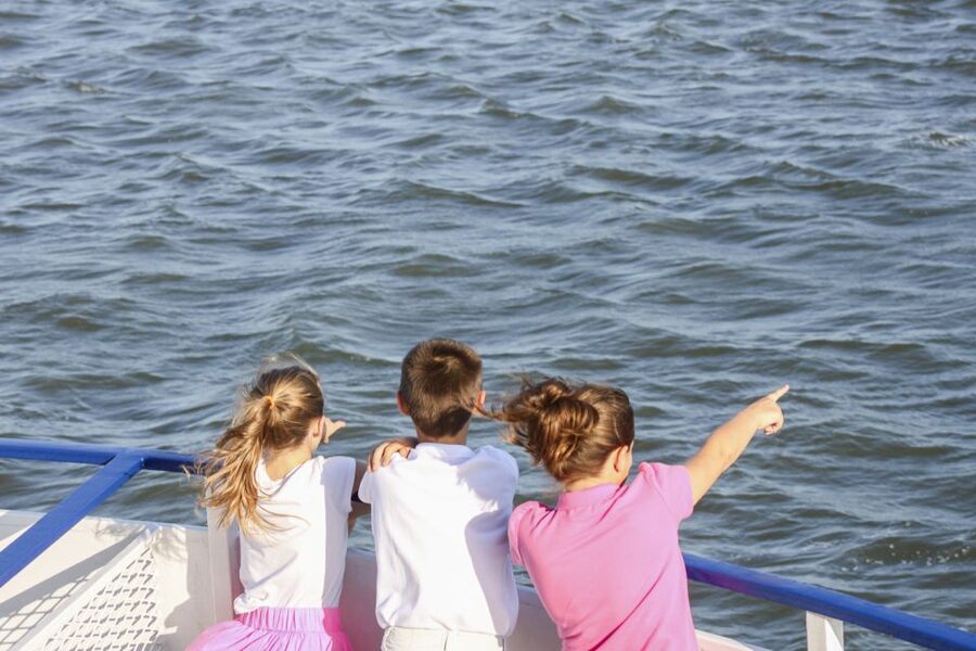 Charleston: Sightseeing Harbor Tour & Dolphin Watch - The Battery from the water