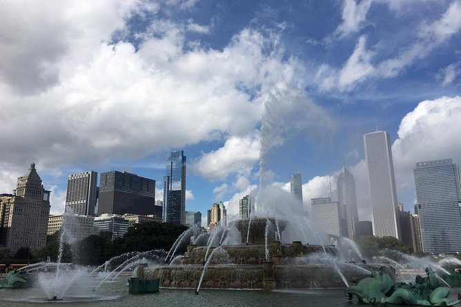 Chicago City Minibus Tour - Millennium Park and the Bean without a long stop