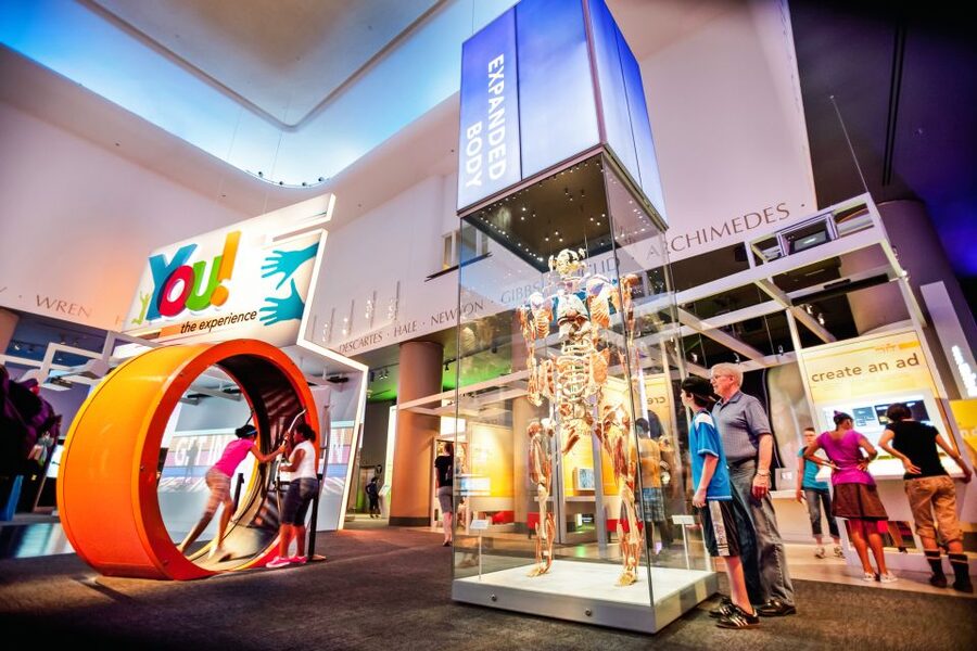Chicago CityPASS®: Save up to 49% at 5 Top Attractions - Skydeck Chicago: the pass’s best time saver