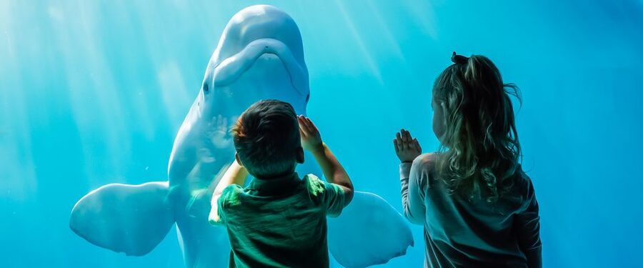 Chicago CityPASS®: Save up to 49% at 5 Top Attractions - Art Institute of Chicago: the choice for art lovers