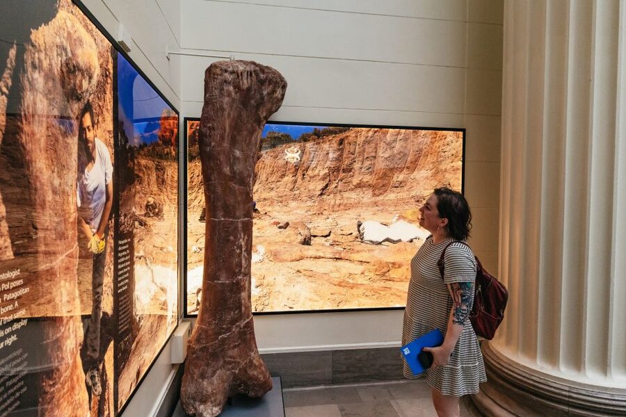 Chicago: Field Museum of Natural History Ticket or VIP Tour - Five things to know before you go