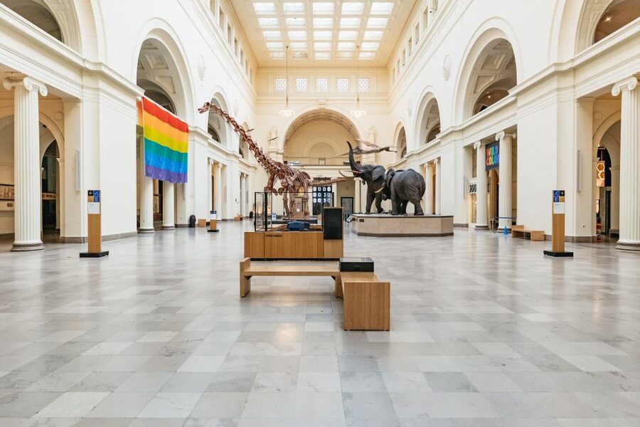 Chicago: Field Museum of Natural History Ticket or VIP Tour - Underground Adventure and the science of small things