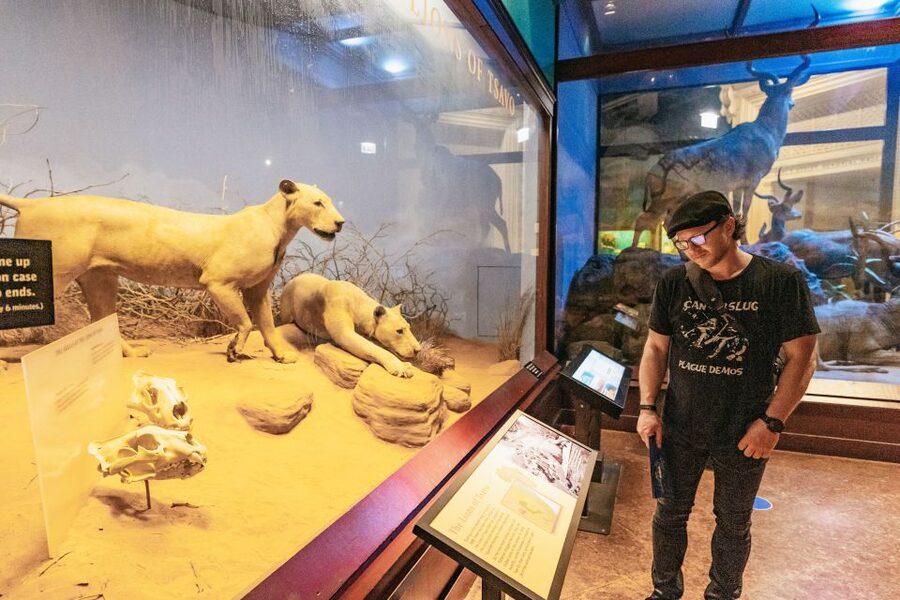 Chicago: Field Museum of Natural History Ticket or VIP Tour - Ancient Americas, Egypt, and the Ice Age